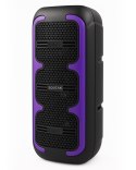 SQUEAK GŁOŚNIK KARAOKE BEATONE BLUETOOTH 5.3, 45W RADIO FM, MICROSD, AUX, USB, USB-C SQ1009