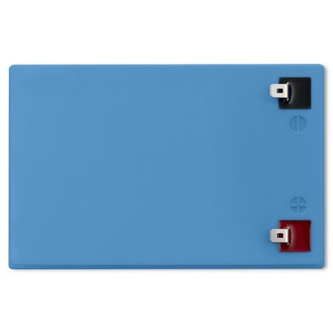 Qoltec Akumulator LiFePO4 litowo-żelazowo-fosforanowy | 12.8V | 10Ah | 128Wh | BMS