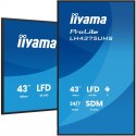 IIYAMA Monitor 43 cale LH4375UHS-B2AG,24/7,IPS,ANDROID.11,4K, WiFi, iiSignage2, FailOver, EShare, 24/7, full daisy chain