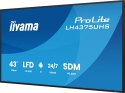 IIYAMA Monitor 43 cale LH4375UHS-B2AG,24/7,IPS,ANDROID.11,4K, WiFi, iiSignage2, FailOver, EShare, 24/7, full daisy chain