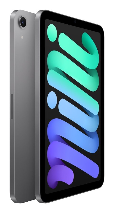 Apple iPad mini Wi-Fi 128GB Space Gray (2024)