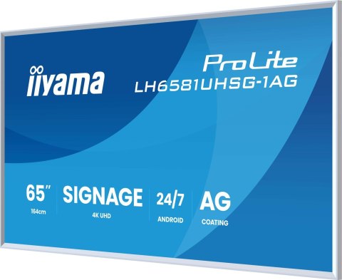 Monitor IIYAMA 164.0cm (64,5") LH6581UHSG-1AG 16:9 2xHDMI+USB-C (Speditionsversand)