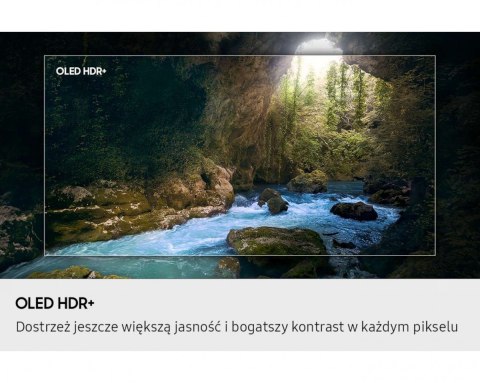 Samsung Telewizor OLED 48 cali QE48S90FAEXXH