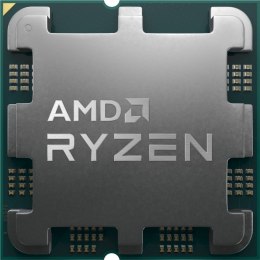 Procesor AMD Ryzen 7 7700 Tray (3.8 GHz /32 MB /Socket AM5 )