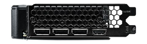 Karta graficzna VGA PCIE16 RTX5060 8GB GDDR7/NE75060S19P1-GB2063D PALIT