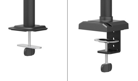 Uchwyt do monitora na biurko / Dual DS60-600BL2 NEOMOUNTS
