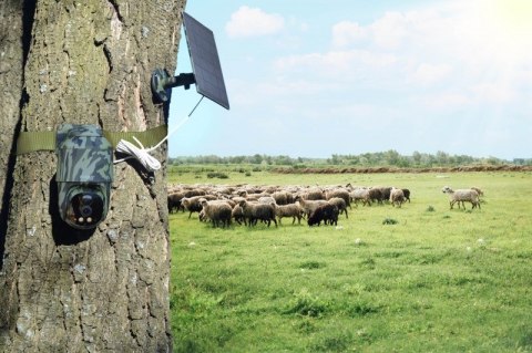 Technaxx Überwachungsset 4G PT Dome TX-290 z panelem solarnym - kamera sieciowa