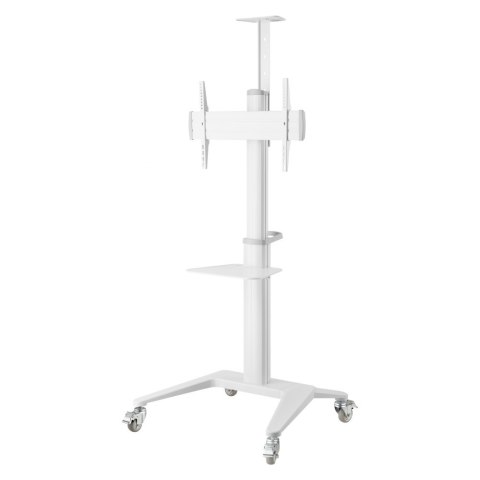 Uchwyt do TV TECHLY ICA-TR48W (nośność 70kg /37 - 70 cali)