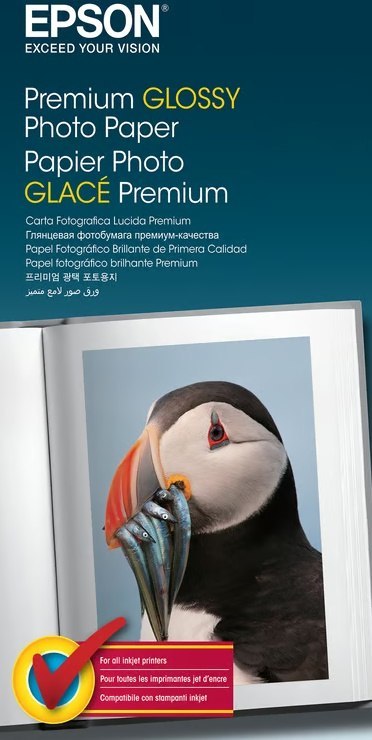 Papier EPSON C13S041624