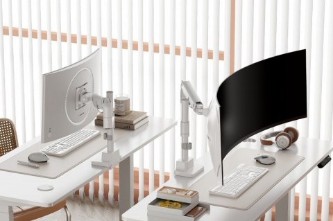 Digitus Ramię biurkowe pojedyncze z zaciskiem i sprężyną gazową 1x LCD max. 57" 27kg, VESA: 75x75, 100x100, białe