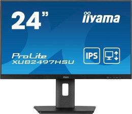 Monitor IPS 1H 1DP, 2x2.0, 100Hz