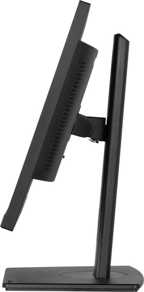 Monitor IPS 1H 1DP, 2x2.0, 100Hz