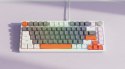 Savio Klawiatura magnetyczna ASTRAL White OUTEMU White jade RGB 3 kolory keycapów