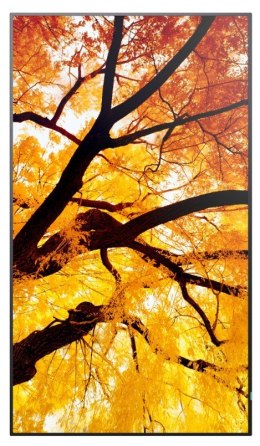 Sharp Monitor wielkoformatowy MultiSync M502 50 cali 550cd/m2 24/7