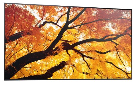 Sharp Monitor wielkoformatowy MultiSync M502 50 cali 550cd/m2 24/7