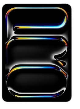 Tablet APPLE iPad Pro 13 cali Wi-Fi 2 TB Gwiezdna Czerń (13