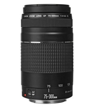 Obiektyw - Canon EF 75-300mm f/4-5.6 III