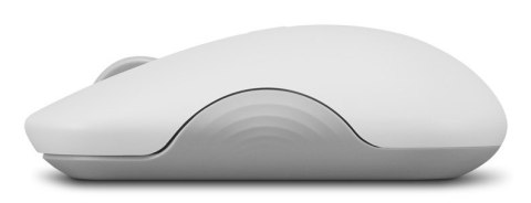 Lenovo 350 Bluetooth Silent Mouse (Cloud Grey)
