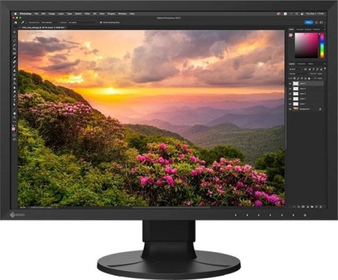 Monitor EIZO ColorEdge CS2400S (24.1" /IPS /60Hz /1920 x 1200 /Czarny)