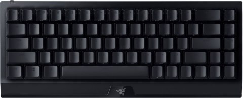 Klawiatura Przewodowa RAZER RZ03-03892000-R3M1