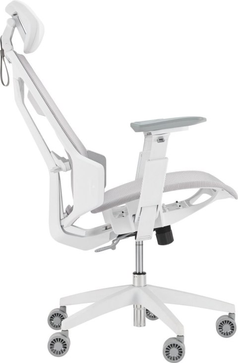 Fotel 90GC01P0-MSG060 ASUS