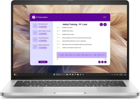 Notebook DELL BTO106_PB14250_EMEA (14"/16GB/SSD512GB/W11P/Srebrny)