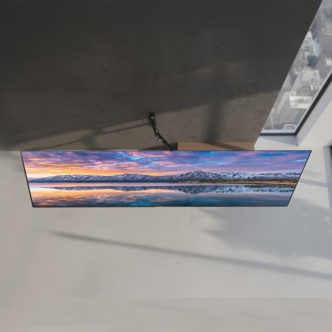 Maclean Uchwyt do telewizora lub monitora 13-65 cali MC-743 30kg