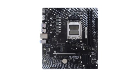 Płyta główna BIOSTAR A620MT-E 2.0