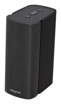 Creative Labs T100 Pełny zasięg Czarny Przewodowy i Bezprzewodowy 20 W
