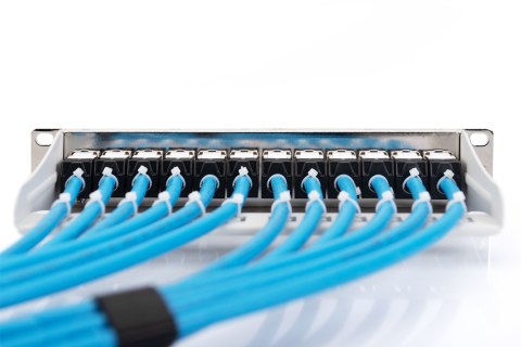 Kabel sieciowy DIGITUS bulk - 100 m - light blue