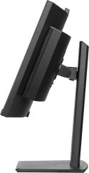 Monitor IIYAMA 86,4cm (34") XCB3497WQSNPH-B1 21:9 HDMI+DP+USB-C Webc
