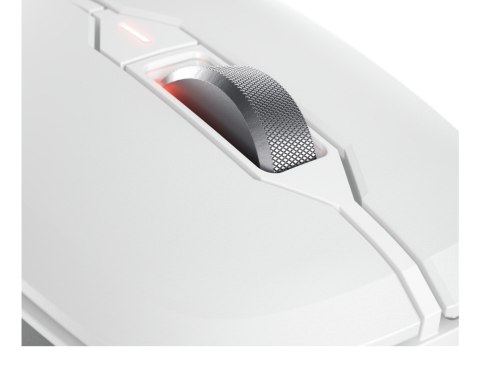 CHERRY JW-8550-0 myszka Uniwersalne Po prawej stronie RF Wireless Optyczny 4000 DPI