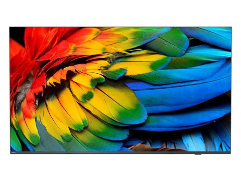 Philips 43HFL6214U 109,2 cm (43") 4K Ultra HD Smart TV Wi-Fi Antracyt 400 cd/m2 Wyświetlacz z możliwością rolowania