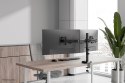 Uchwyt do monitora na biurko / Dual DS60-600BL2 NEOMOUNTS