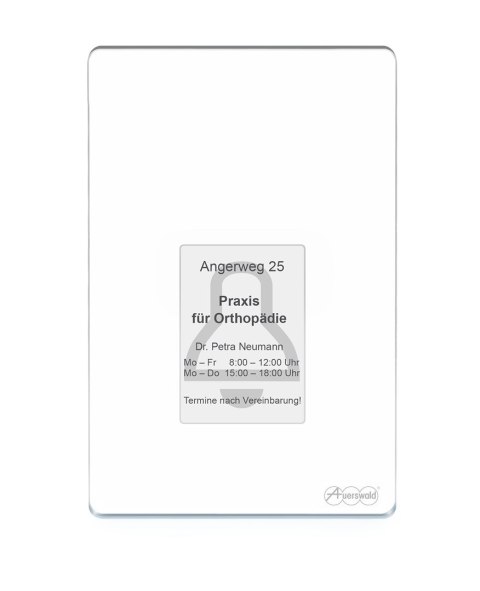 Terminal kontroli dostępu Auerswald TFS-Dialog 400 z czytnikiem linii papilarnych - biały