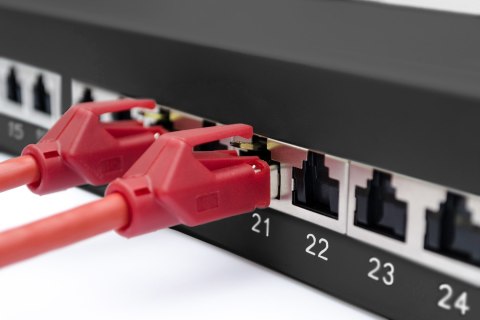 Patch panel DIGITUS Professional DN-91624S-EA-B - 1U - 19