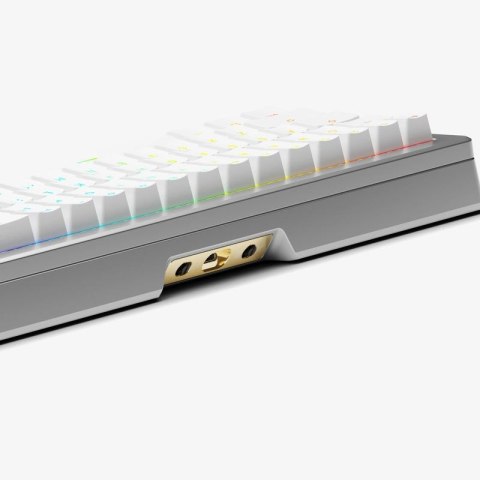 Klawiatura Glorious GMMK 3 Pro HE Wireless 65% Custom Gaming-Tastatur - Pre-Built, ANSI (USA), Fox HE Switches, srebrna