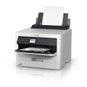 Epson Tusz T01D200 / T01D2 C13T01D200 Ink Cyan XXL