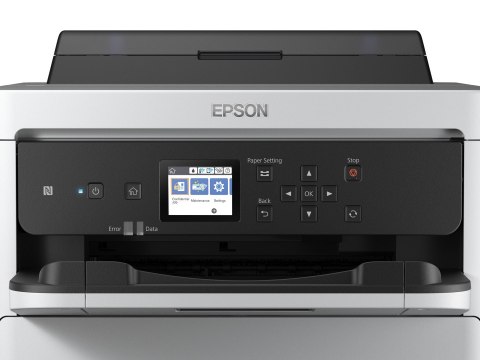 Epson Tusz T01D200 / T01D2 C13T01D200 Ink Cyan XXL