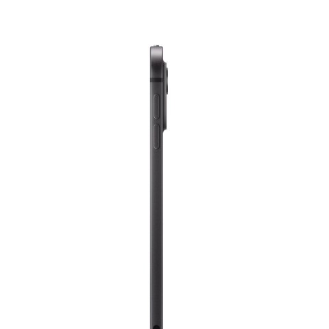 Apple iPad Pro 11 Wi-Fi + Cellular 256GB space schwarz (5.Gen.)