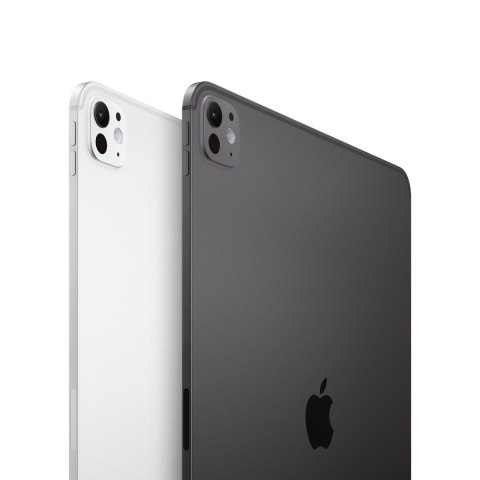 Apple iPad Pro 11 Wi-Fi + Cellular 256GB space schwarz (5.Gen.)