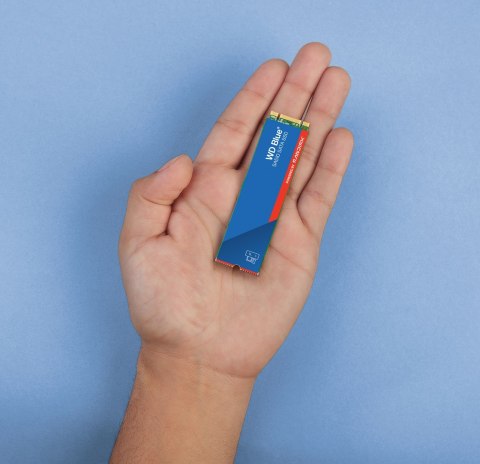 SSD SATA M.2 1TB 6GB/S/BLUE SA510 WDS100T3B0B WDC