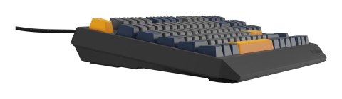 GENESIS Thor 230 TKL klawiatura Gaming USB QWERTY Angielski Niebieski