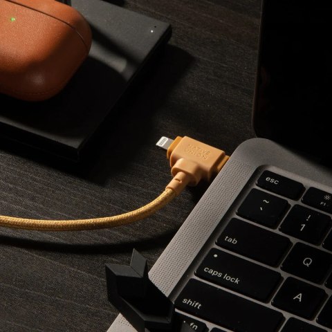 Kabel Native Union Belt Cable Duo Pro 240W USB-C - USB-C / lightning, 2,4 m (zebra)