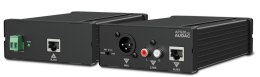 Konwerter audio AUDAC APG20MK2