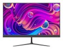 Monitor DS-D5024F2-BV2S