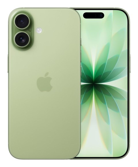 Apple iPhone 17 16 cm (6.3") Dual SIM iOS 26 5G USB Type-C 256 GB Szałwia