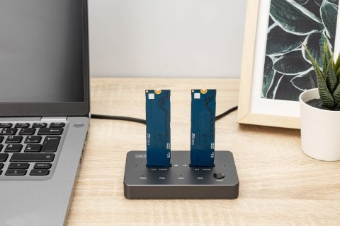 Digitus Stacja klonująca NVMe Obudowa USB3.1 Gen2 Type-C NVMe M.2 SSD