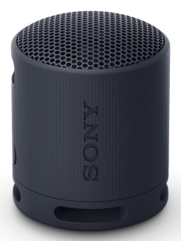 Sony SRS-XB100 Głośnik mono przenośny Czarny