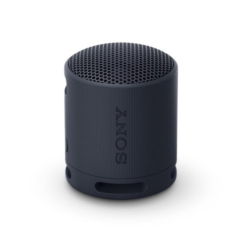 Sony SRS-XB100 Głośnik mono przenośny Czarny